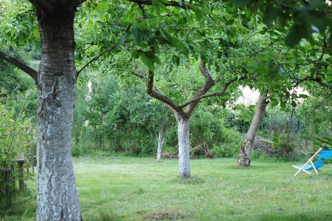 Lawendowe Pokoje Blisko Lasu - Mikolajki Bagian luar foto